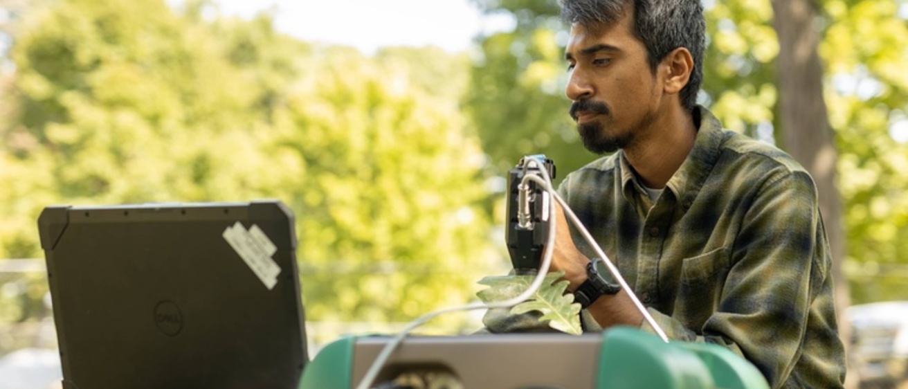 Doctoral student Mainul Islam collects spectral reflectance of a bur oak leaf, using an ASD portable spectrometer, to detect bur oak blight (BOB). (Photos by Cale Stelken)